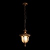 Уличный подвесной светильник Loft IT Alessano 100017P