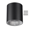 Потолочный светильник Odeon Light HIGHTECH 7138/12CL