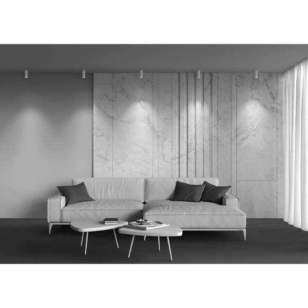 Потолочный светодиодный светильник Maytoni Technical Focus Led C056CL-L12W3K-W-D-W