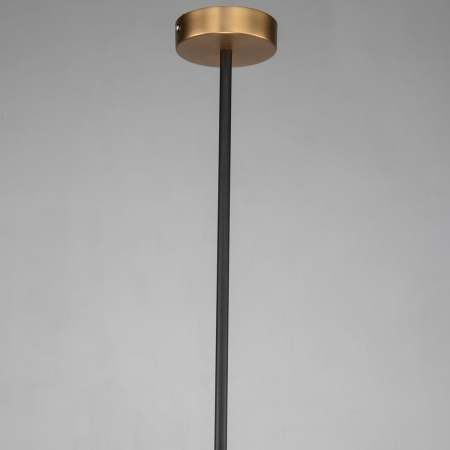 Подвесной светильник Favourite Roshe 2624-1P