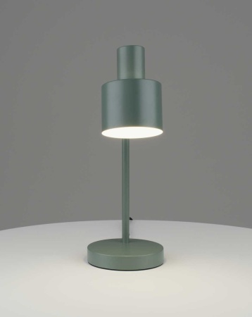 Лампа настольная Moderli Artis V11265-1T