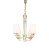 Подвесная люстра ST Luce Opalus SL1403.333.08