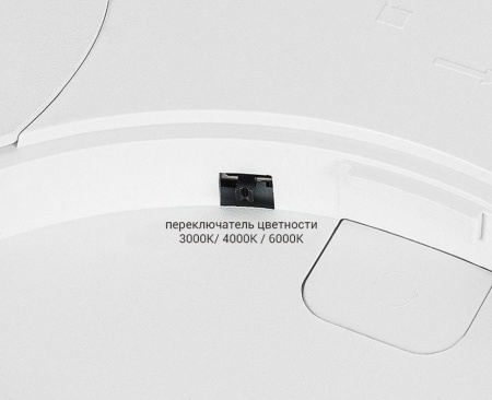 Потолочный светодиодный светильник Italline IT011-5024 black