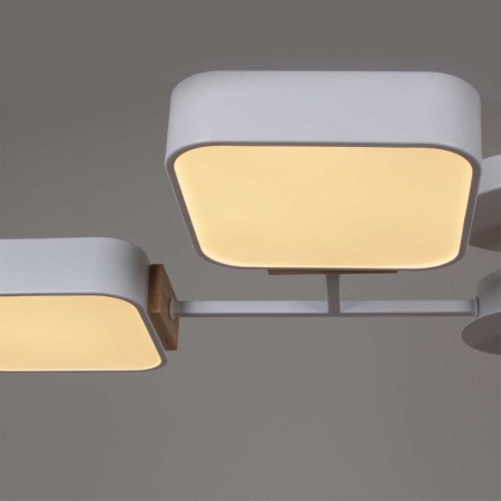 Светильник потолочный Reluce 03363-0.3-06 WH+WOOD