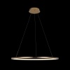 Подвесной светодиодный светильник Loft IT Ring 10014L
