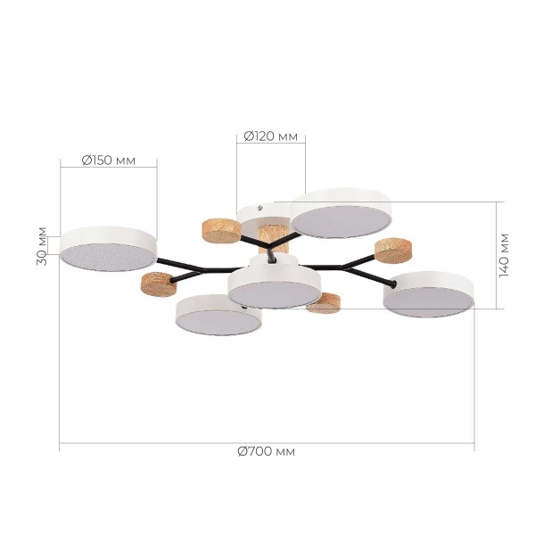 Потолочная светодиодная люстра Evoluce FAEMA SLE6006-502-05