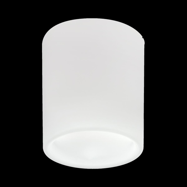 Накладной светильник Lightstar Solido E27 216626