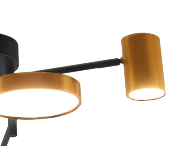 Потолочная светодиодная люстра Kink Light Рапис 07645-6D,19(20)