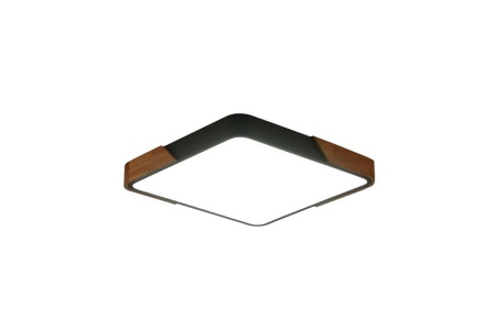 Потолочный светильник Zortes ALBERRO ZRS.01288.36