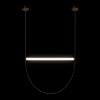 Подвесной светодиодный светильник Loft IT Liana 10221/1250