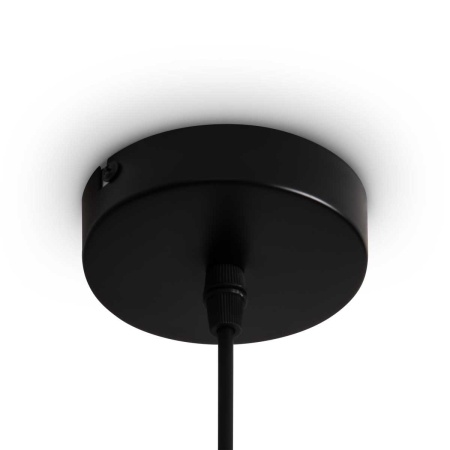 Подвесной светильник Freya Топи / Topi FR5503PL-01B