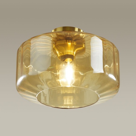 Потолочный светильник Odeon Light Pendant Binga 4747/1C
