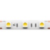 Светодиодная лента Maytoni Led Strip 201185