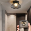Потолочный светильник Imperium Loft charin01 223959-23
