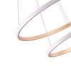 Подвесная светодиодная люстра Zortes RINGOLIGHT ZRS.33320.63C