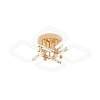 Потолочный светодиодный светильник Escada Lacerta 10265/4LED