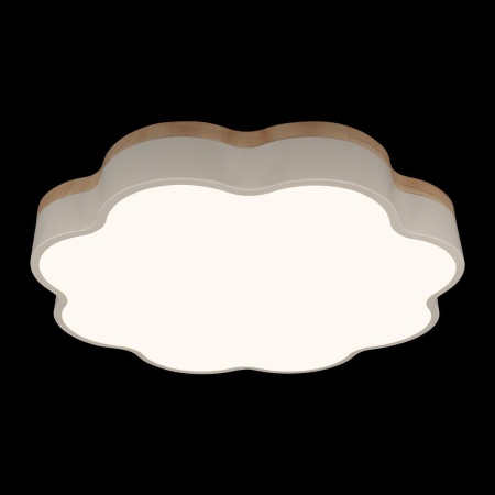 Потолочный светодиодный светильник Loft IT Axel 10225/36 White