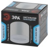 Накладной светильник ЭРА OL17 GX53 WH Б0049044