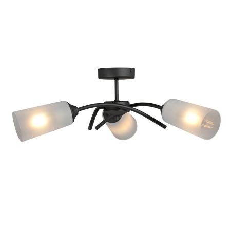 Потолочная люстра Vitaluce V2850-1/3PL