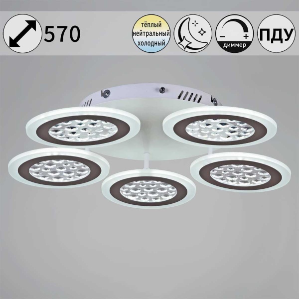 Светильник потолочный Reluce 20491-0.3-05 WT