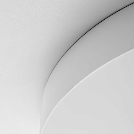 Светильник потолочный Citilux BART CL755490