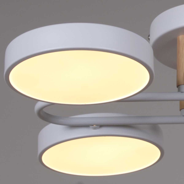 Светильник потолочный Reluce 03322-0.3-06 WH+WOOD