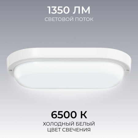 Светильник светодиодный герметичный OGM О28-12