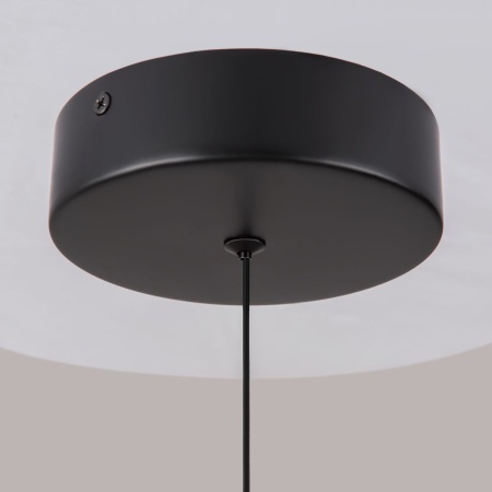 Подвесной светодиодный светильник Maytoni Technical Ray P021PL-L10B