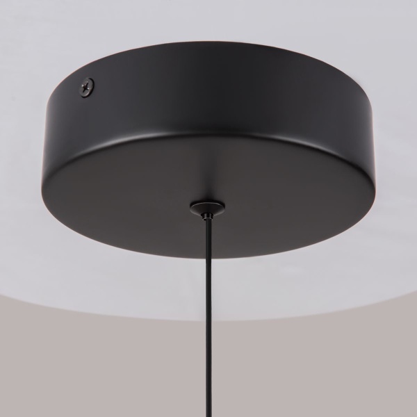 Подвесной светодиодный светильник Maytoni Technical Ray P021PL-L10B