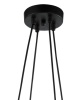 Подвесная люстра Lumien Hall Нерей 4001/4P-BK-GD