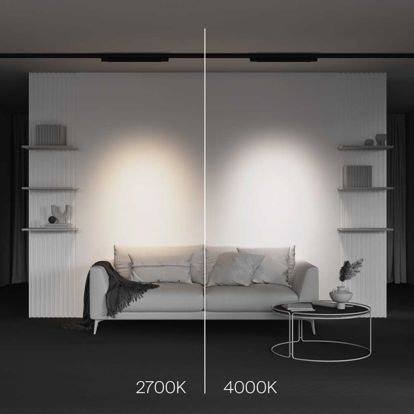 Трековый светодиодный светильник Maytoni Technical Points TR195-3-20W2.7K-M-B