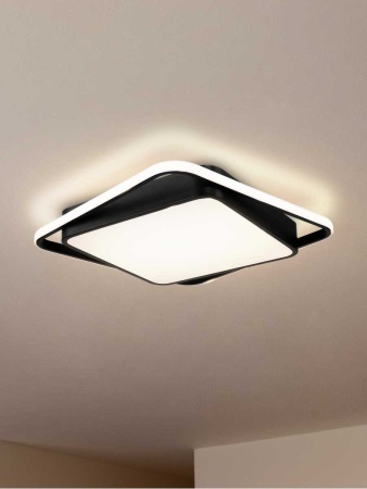 Потолочный светильник Freya FR10030CL-L88B