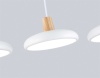 Светильник подвесной Ambrella light COMFORT FL4840