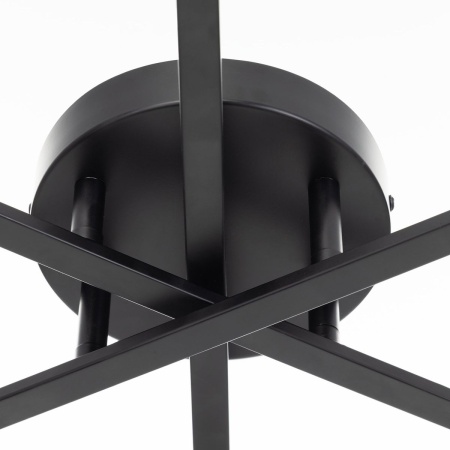 Потолочная люстра Citilux Glob CL209261