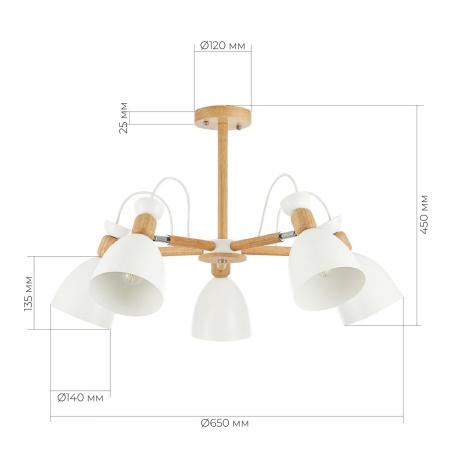 Потолочная люстра Evoluce Balcamo SLE103802-05