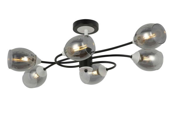 Потолочная люстра Freya Mystic FR5227PL-06B