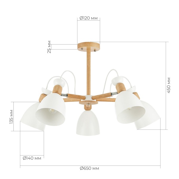 Потолочная люстра Evoluce Balcamo SLE103802-05