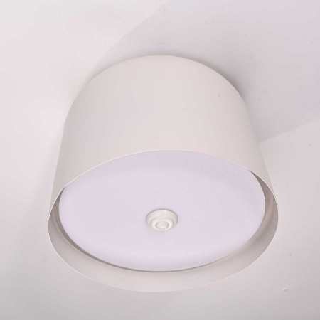 Потолочный светильник Imperium Loft Cylinder 101495-26