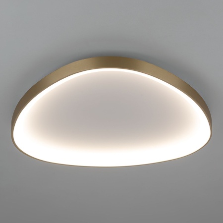 Потолочный светодиодный светильник Citilux Genka Smart CL756A162