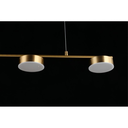 Подвесная светодиодная люстра Aployt Usia APL.047.13.35