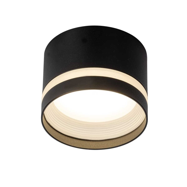 Потолочный светильник Citilux Hardy CL002C11