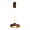 Подвесной светильник Freya Modern Movement FR5602PL-L5BR