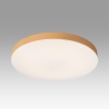 Светильник Sonex Mitra Led 7761/50L