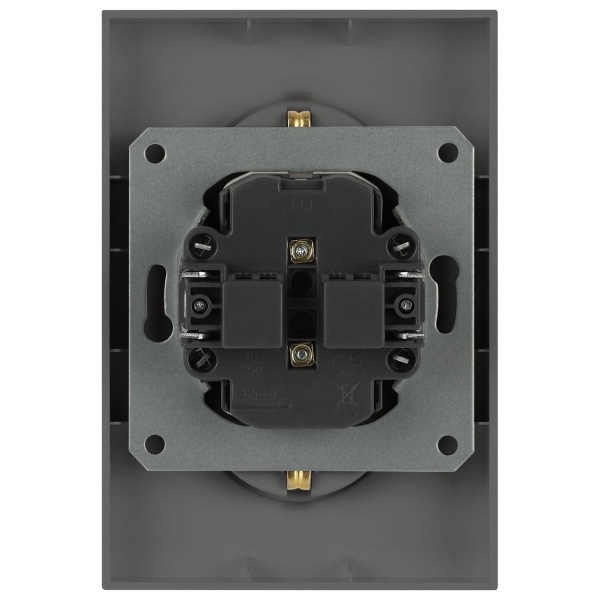 Розетка ЭРА Arktik 16-2107-06 без заземления двойная 2X2P 16А-250В графит Б0071686