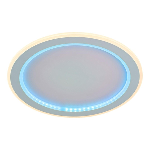 Потолочный светодиодный светильник F-Promo Lema 4697-4C