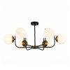 Потолочная люстра Evoluce Ciane SLE1098-402-06