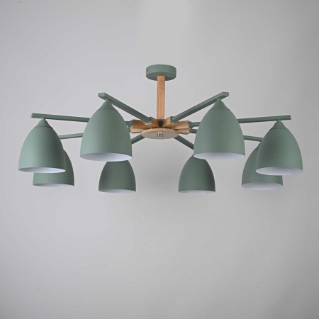 Потолочная люстра Imperium Loft Noa 8 Mint 183468-26