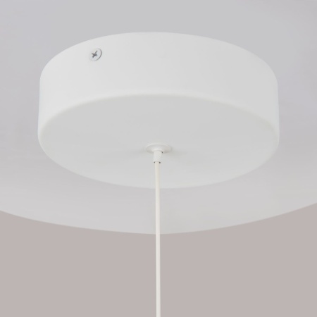 Подвесной светодиодный светильник Maytoni Technical Ray P021PL-L10W