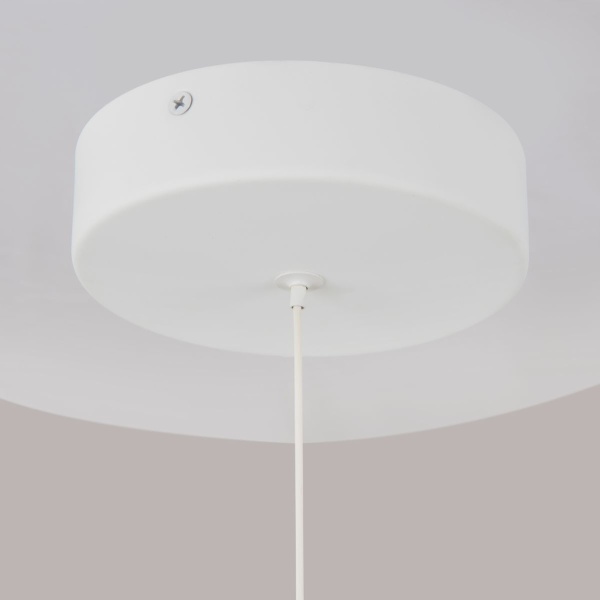 Подвесной светодиодный светильник Maytoni Technical Ray P021PL-L10W