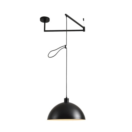 Подвесной светильник Lumion Armina Moderni 8321/1C